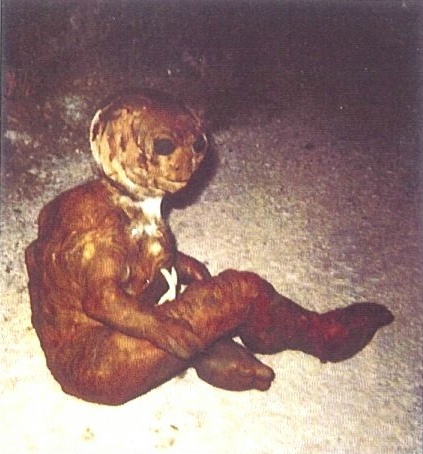 humancloneexperiment4