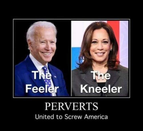 FB_IMG_1597278593824