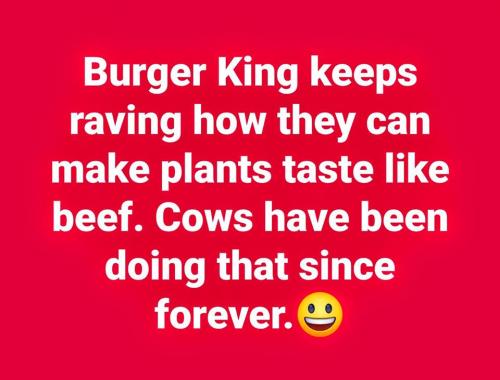 73523474_738592133317398_3578475706310459392_n