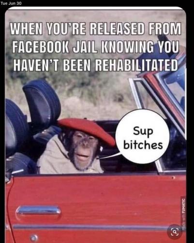 FB_IMG_1593568920103