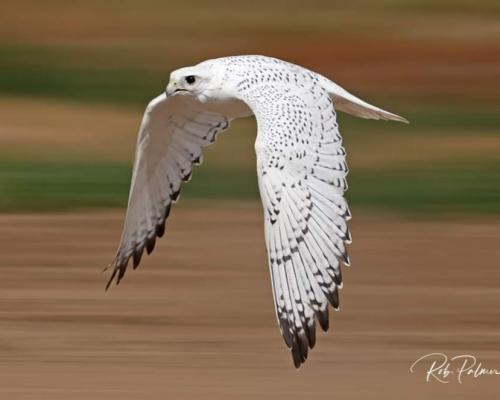 inbound1073588297087048689