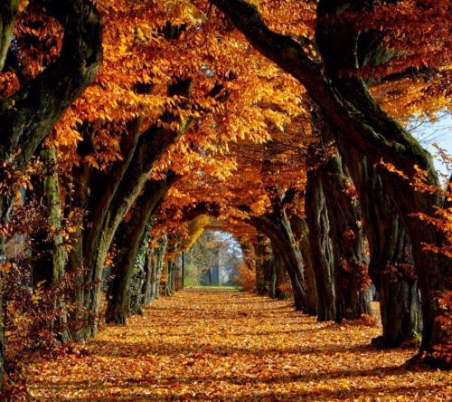 07:32:20 GMT-0500 (CDT)