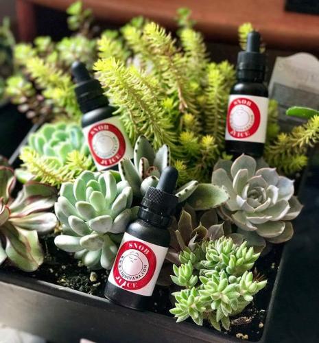 19399668_1552437661453588_8223301463602979925_n