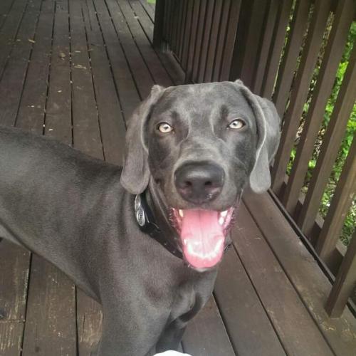 fb_img_1467857979694