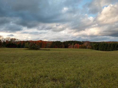 19:23:26 GMT-0400 (EDT)