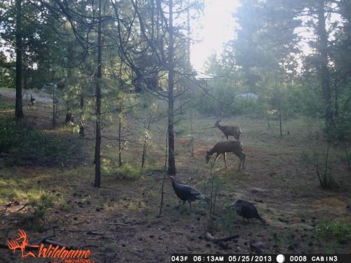 983792_10201232748639363_1701329943_n_10201232748639363