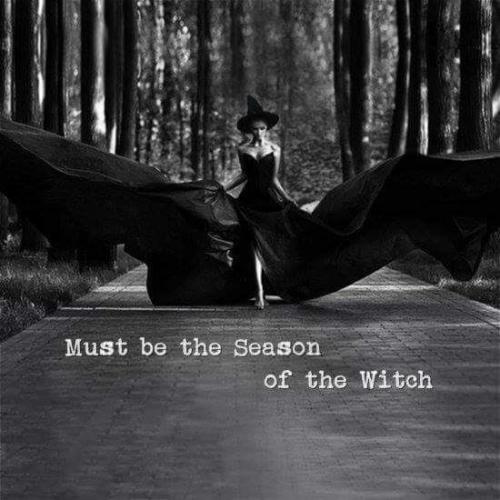 dc509863e3ac96ccd5906c0a87b82584