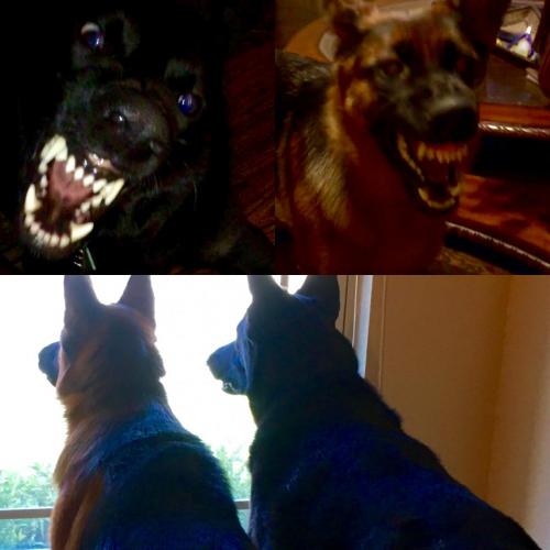 75FABD86-EAE4-4BC6-AC89-9721C84920A2