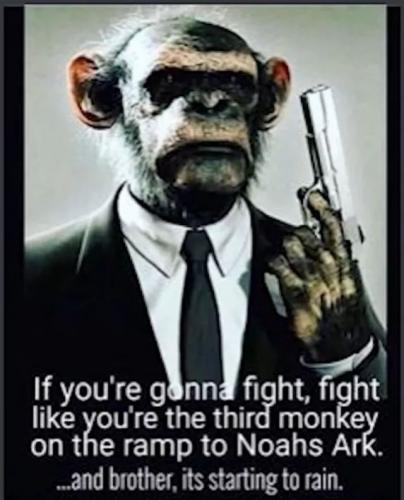 10:06:16 GMT-0400 (EDT)