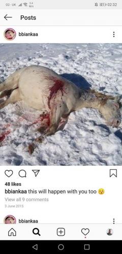 94080187_2762166517385636_8640760775419363328_o