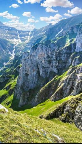 122578252_738633070062057_3937241324107901044_n