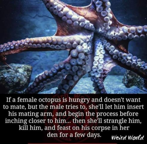 52599251_10205406559199362_1583324811608719360_n_10205406559159361