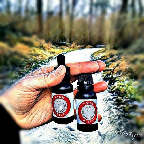 17191307_1436161146414574_6976453834588049435_n