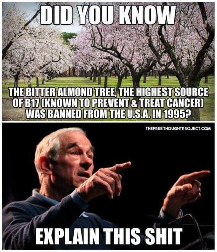 FB_IMG_1545538044041