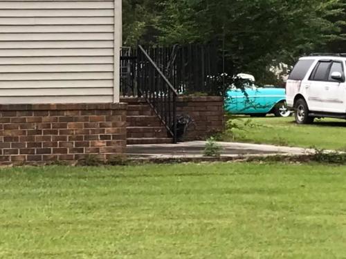 120158395_2719517445032500_2484402683493708610_n_2719517441699167