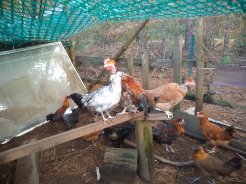 08:13:52 GMT-0500 (CDT)