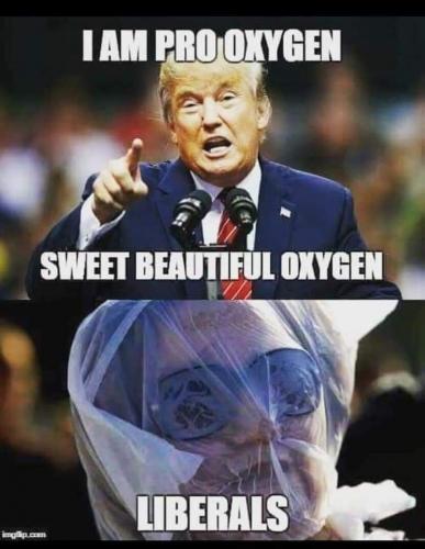 Sweet Beautiful Oxygen