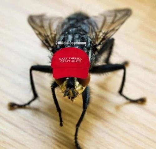 01:29:35 GMT-0400 (EDT)