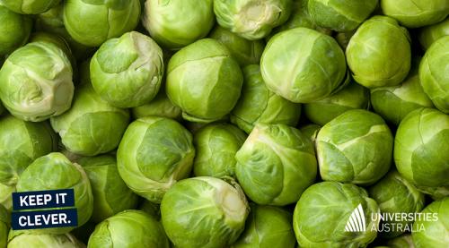 Brussel_Sprouts