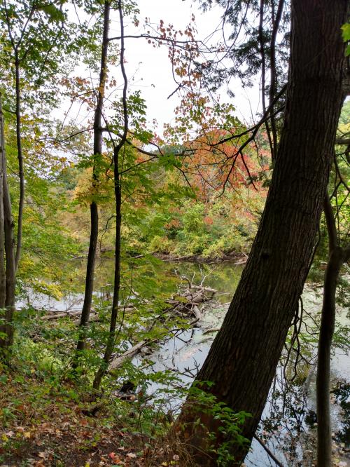 IMG_20201003_141033219_HDR