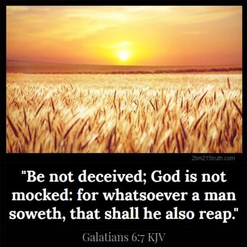 117841372_3325241940876495_7865273302902925399_n