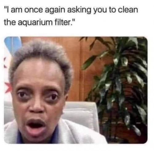 FB_IMG_1597278742567