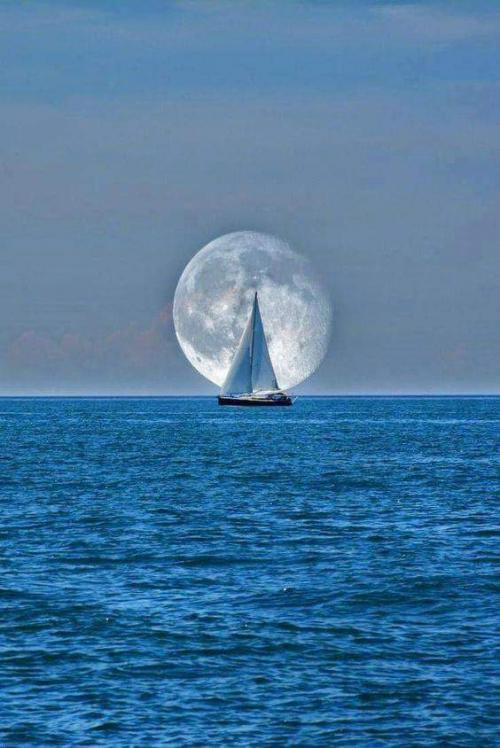 FB_IMG_1569178019890