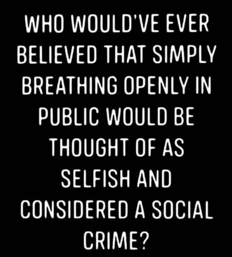 Screenshot_20200915-010006_Instagram