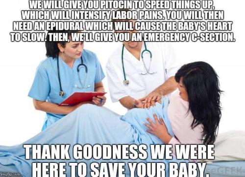 FB_IMG_1541597131377