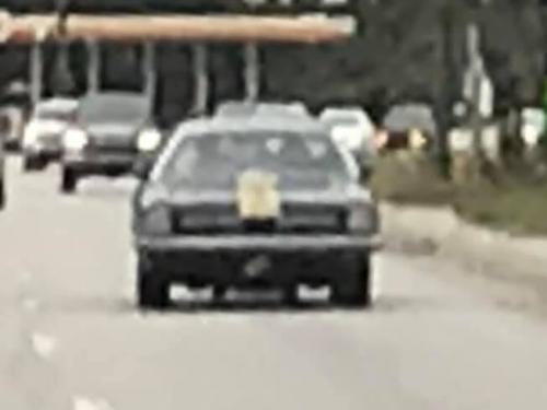 120094429_2718661708451407_6017366398054417183_n_2718661705118074