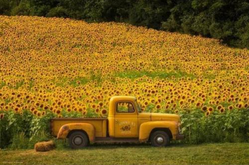 16:23:57 GMT-0400 (EDT)