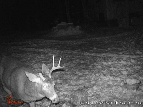 89002360_10221779982187360_9175851363345629184_o_10221779982107358