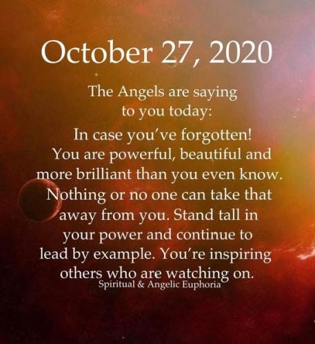 122495835_3523719567685455_1661824793864354294_o