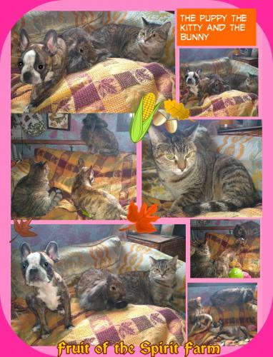 14:05:20 GMT-0500 (CDT)