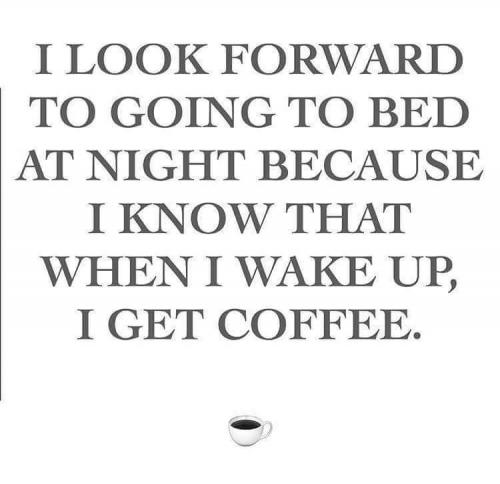 13124644_10201548342826364_1413205700034921303_n_10201548342826364