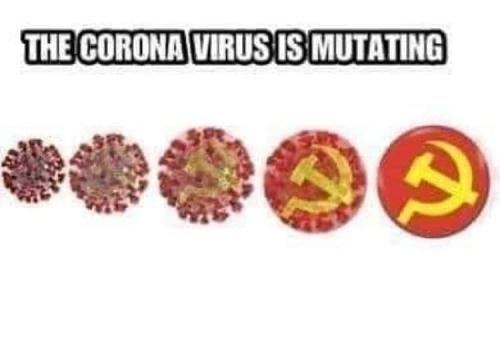 FB_IMG_1595867447895