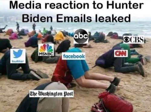 122135010_10213672346562149_4621372029813878699_n