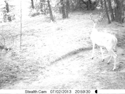 994198_10201513529618712_110670370_n_10201513529618712