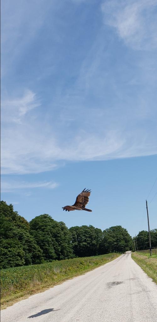 11:18:04 GMT-0400 (EDT)