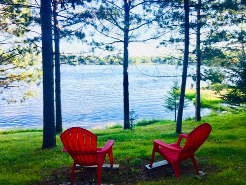 49B54A62-F28C-4A15-BE2D-92F5BF6737CF