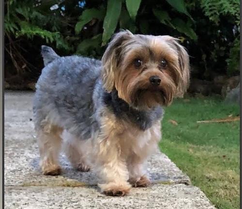 00:35:33 GMT+0100 (WAT)