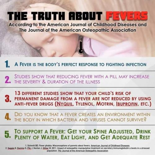 FB_IMG_1599874676383