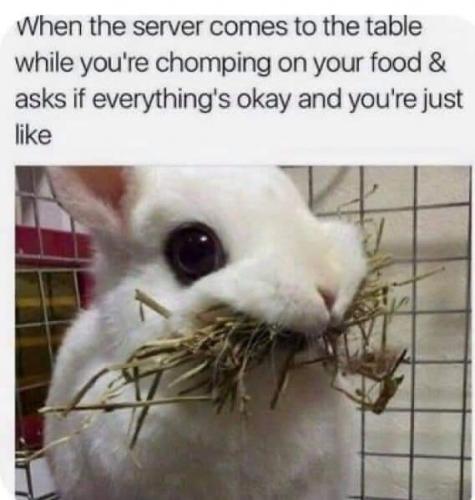 10:44:09 GMT-0500 (CDT)