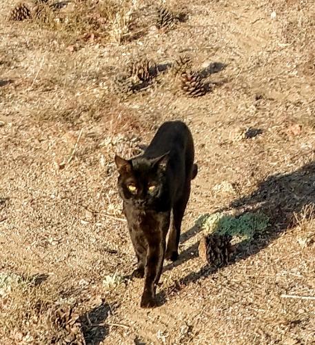 15:03:37 GMT-0700 (PDT)