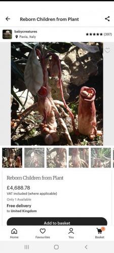 109697544_2843467342588886_5229236544196317627_o