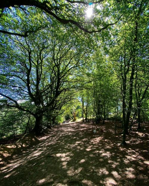 18:33:13 GMT+0100 (WAT)