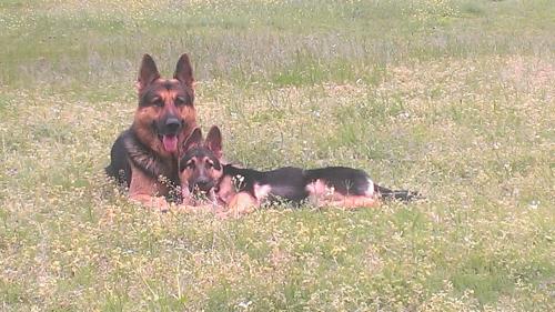 23:58:57 GMT-0500 (CDT)