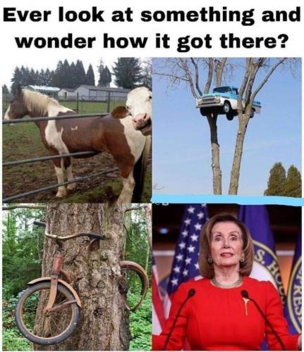 Ever look at something