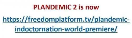 FB_IMG_1597982286315