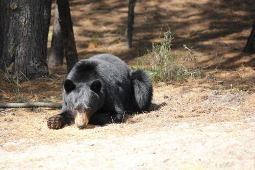 466490_10201080227706435_842319514_o_10201080227706435